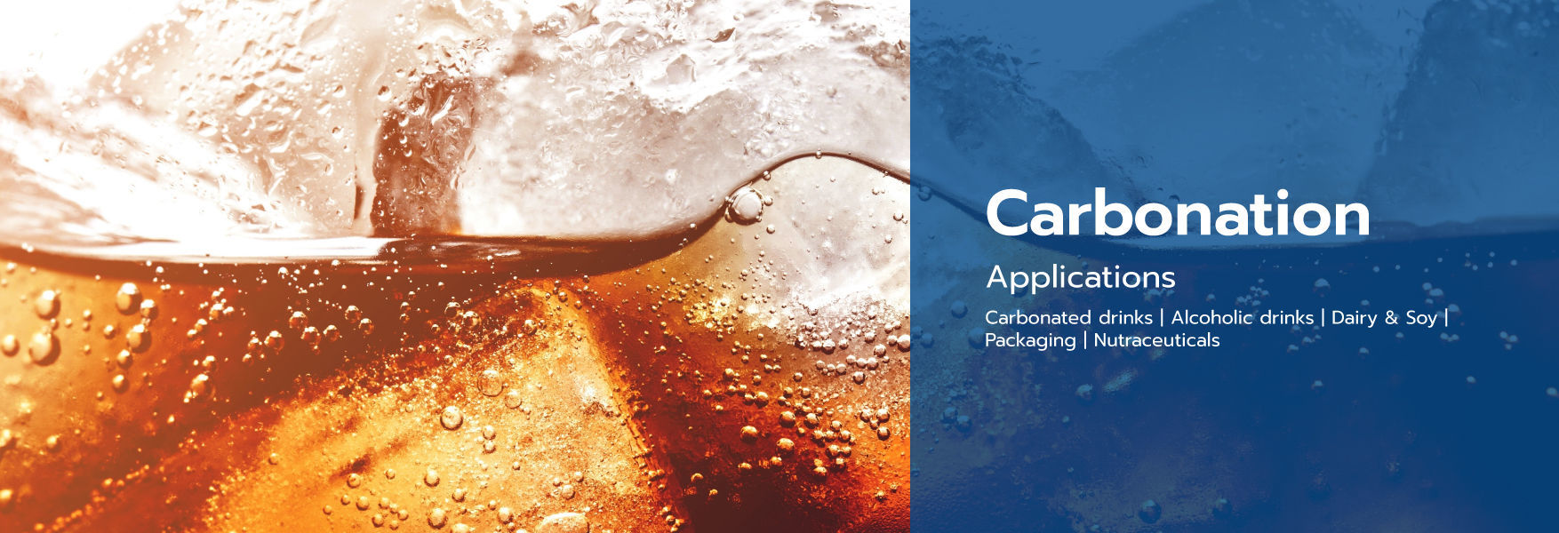 Carbonation Applications  Carbonated drinks | Alcoholic drinks | Dairy & Soy | Packaging | Nutraceut